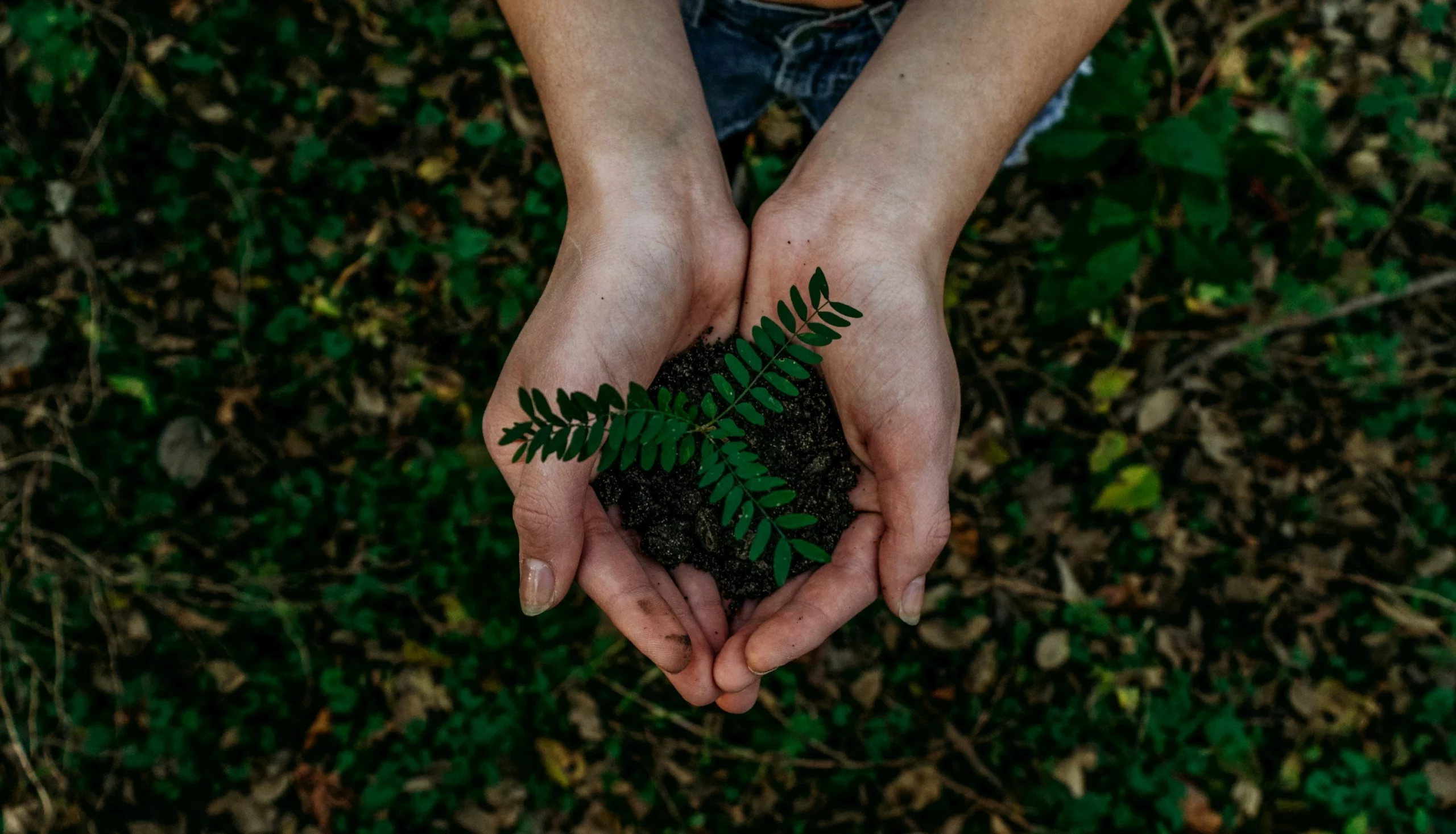 Local green recovery in Europe 