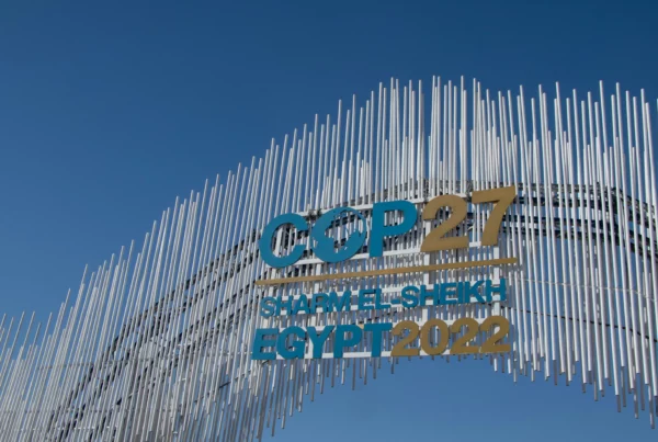 COP 27 - News 2022