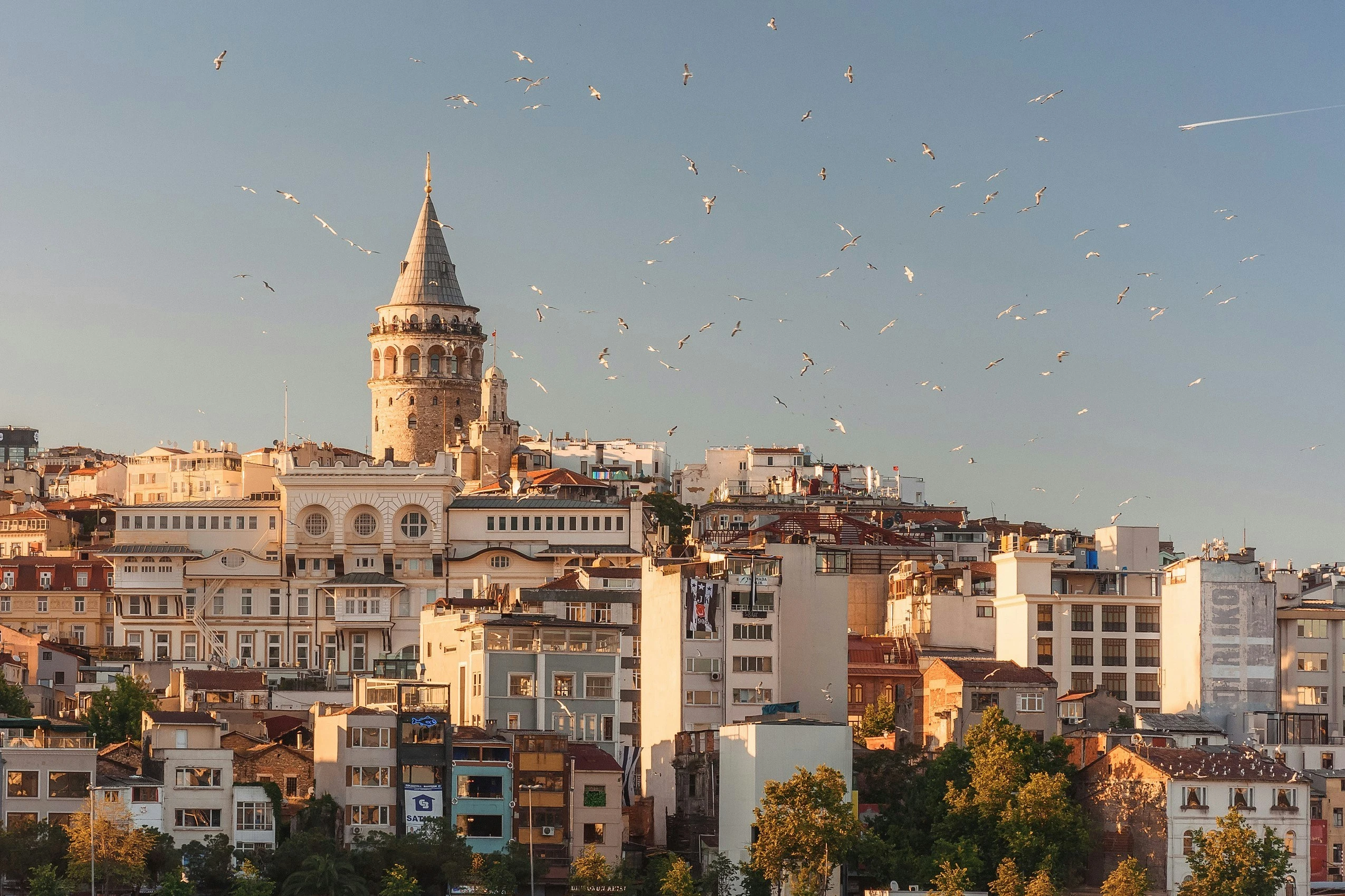 Istanbul Mayor