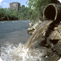 Water management