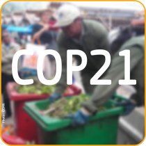 COP21