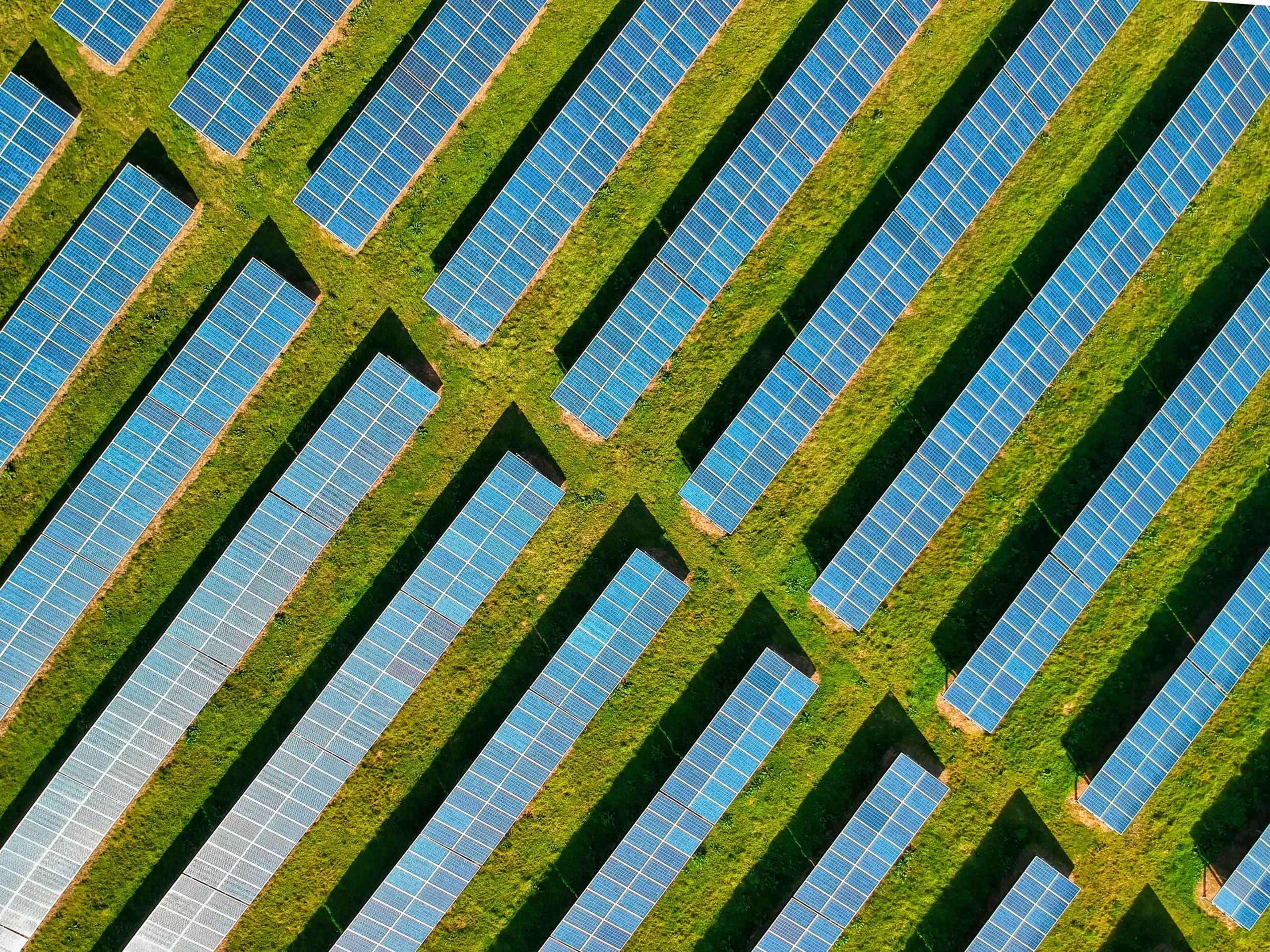 La neutralité climatique en jeu