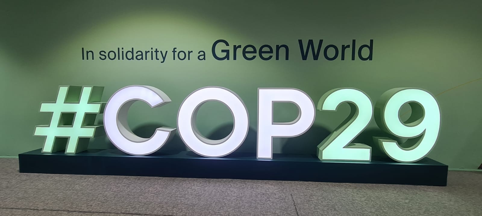 CEMR at COP29