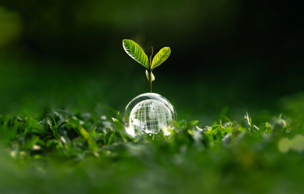 Localising SDGs - News 2025