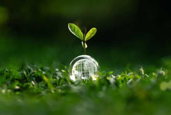 Localising SDGs - News 2025
