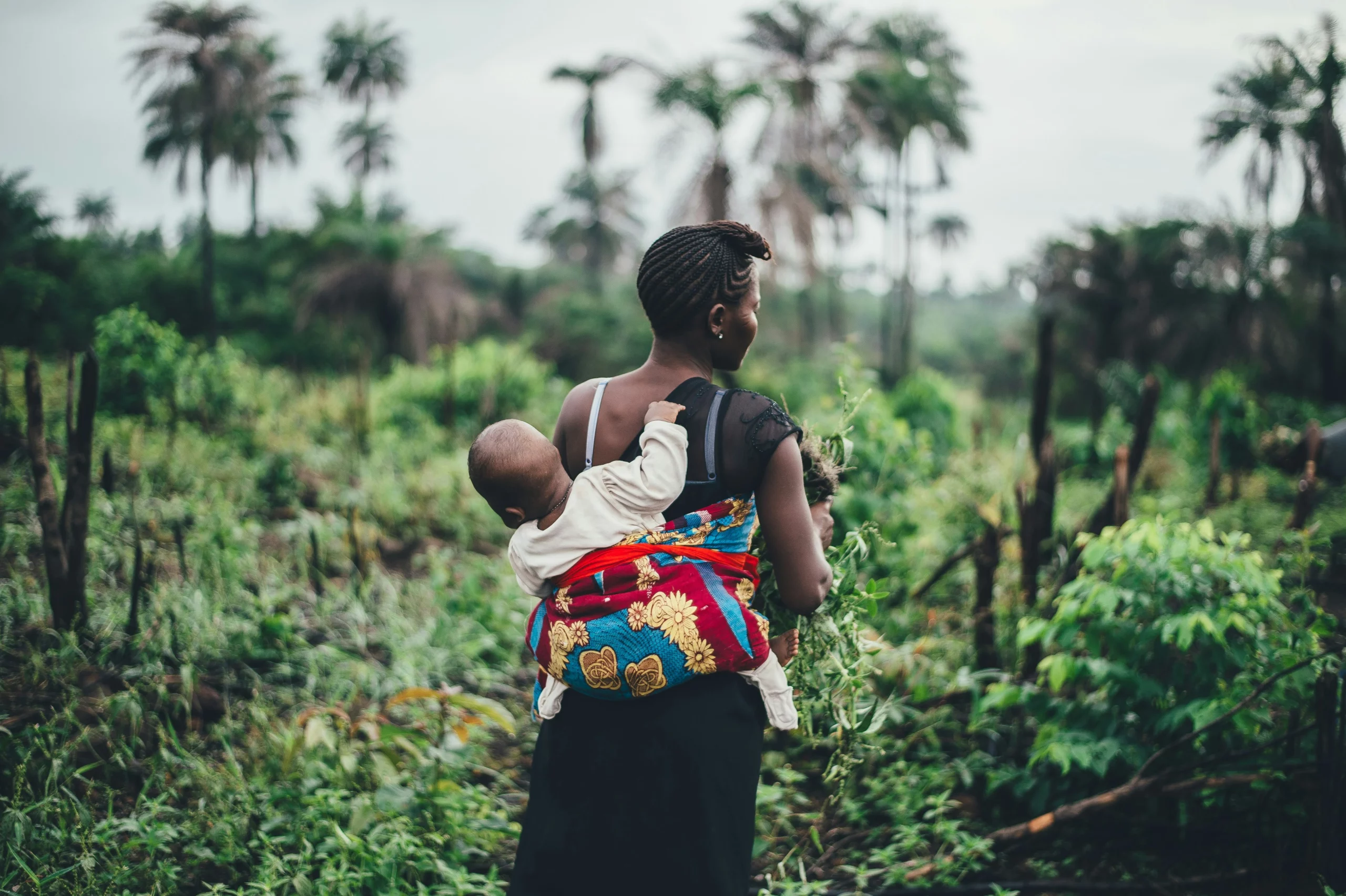 Climate Finance in Sub-Saharan Africa 