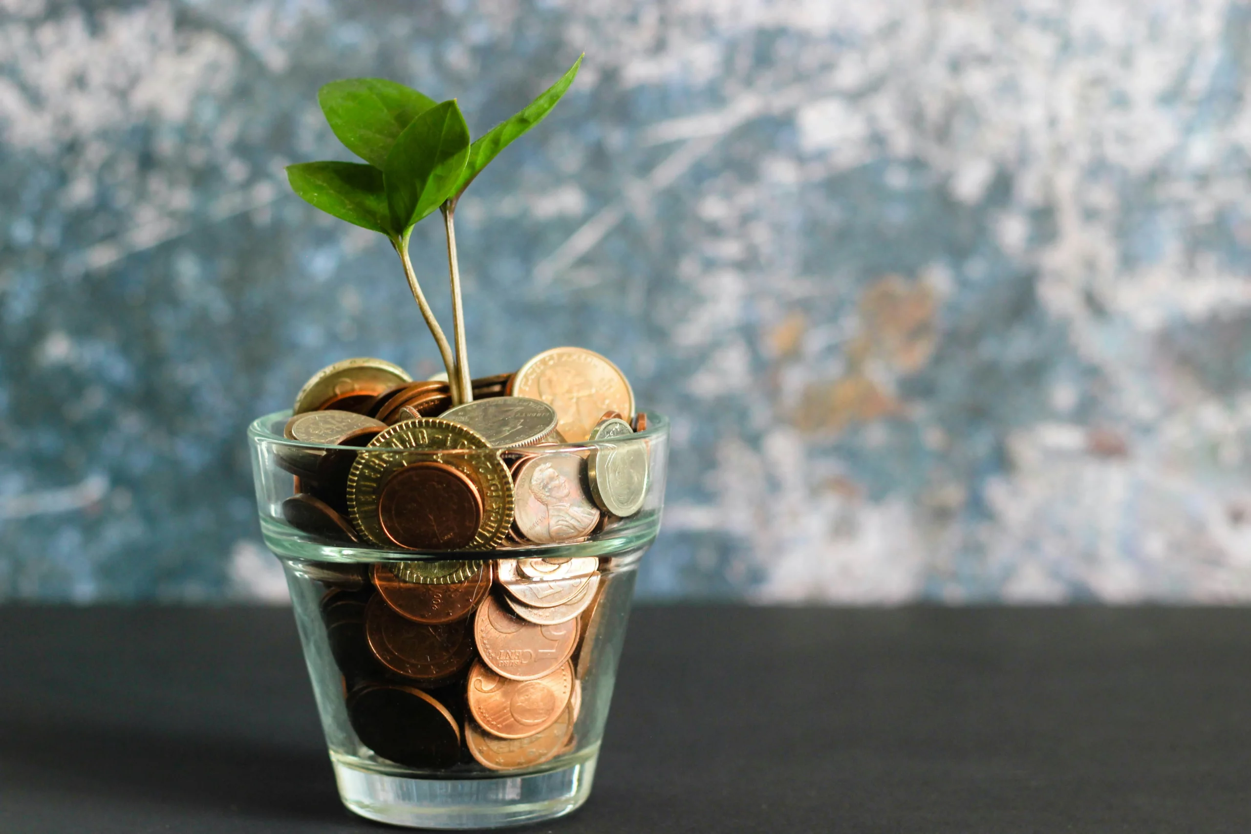 Recovery & Resilience Facility funds 