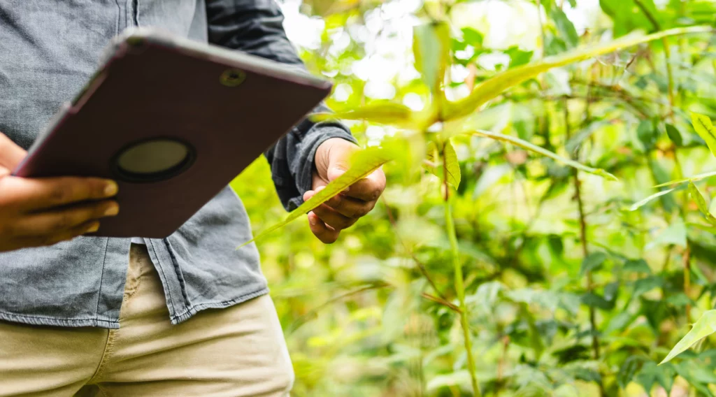 TOWN HALL COP - News