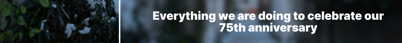 75 years - image banner