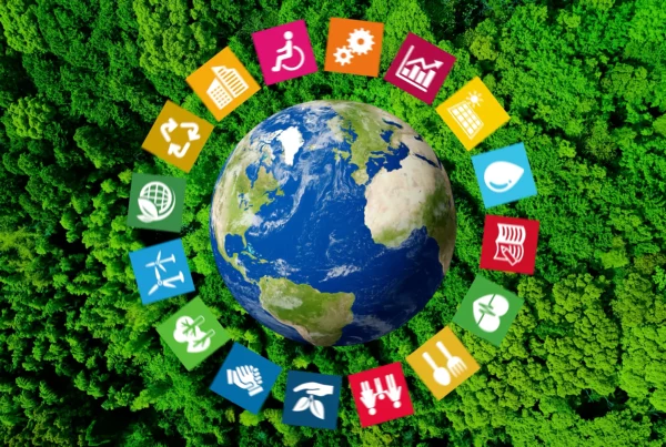 Reference Framework for Sustainable Cities - image 1