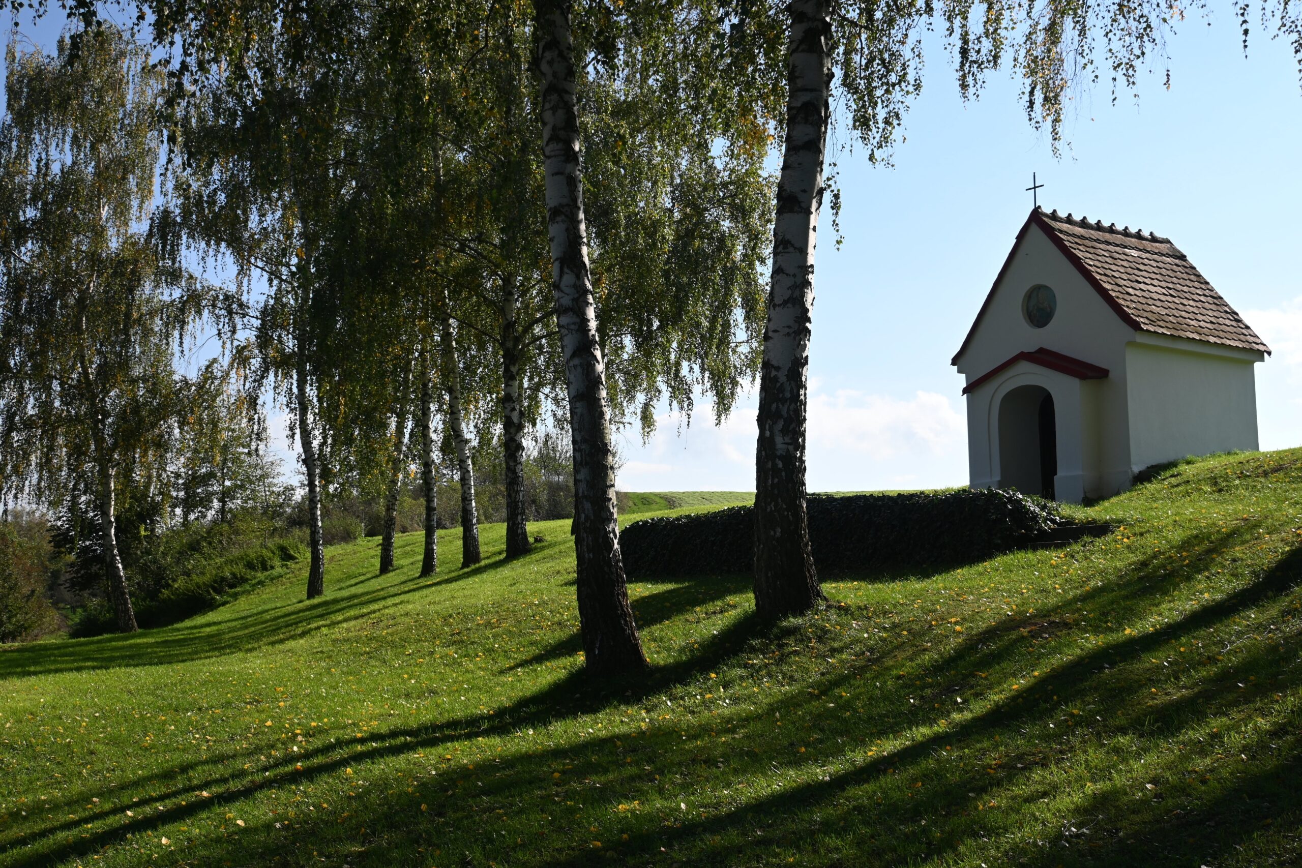 EU budget campaign – The Czech Republic