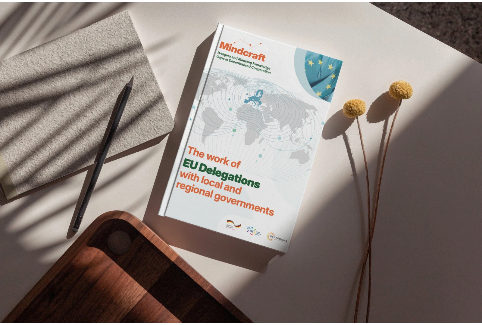EU Delegation study