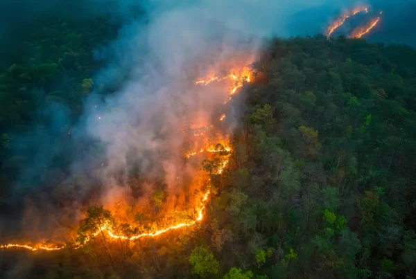 Climate Change News