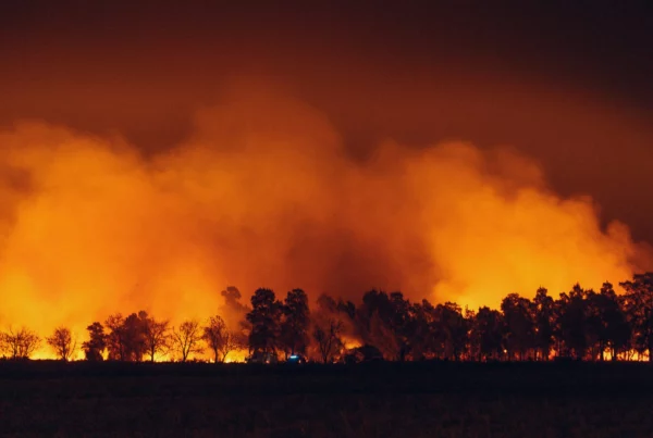 Letter on Climate resilience