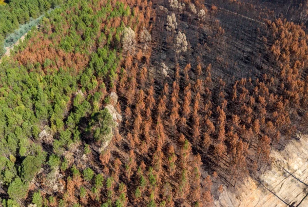 Climate and Energy framework - News